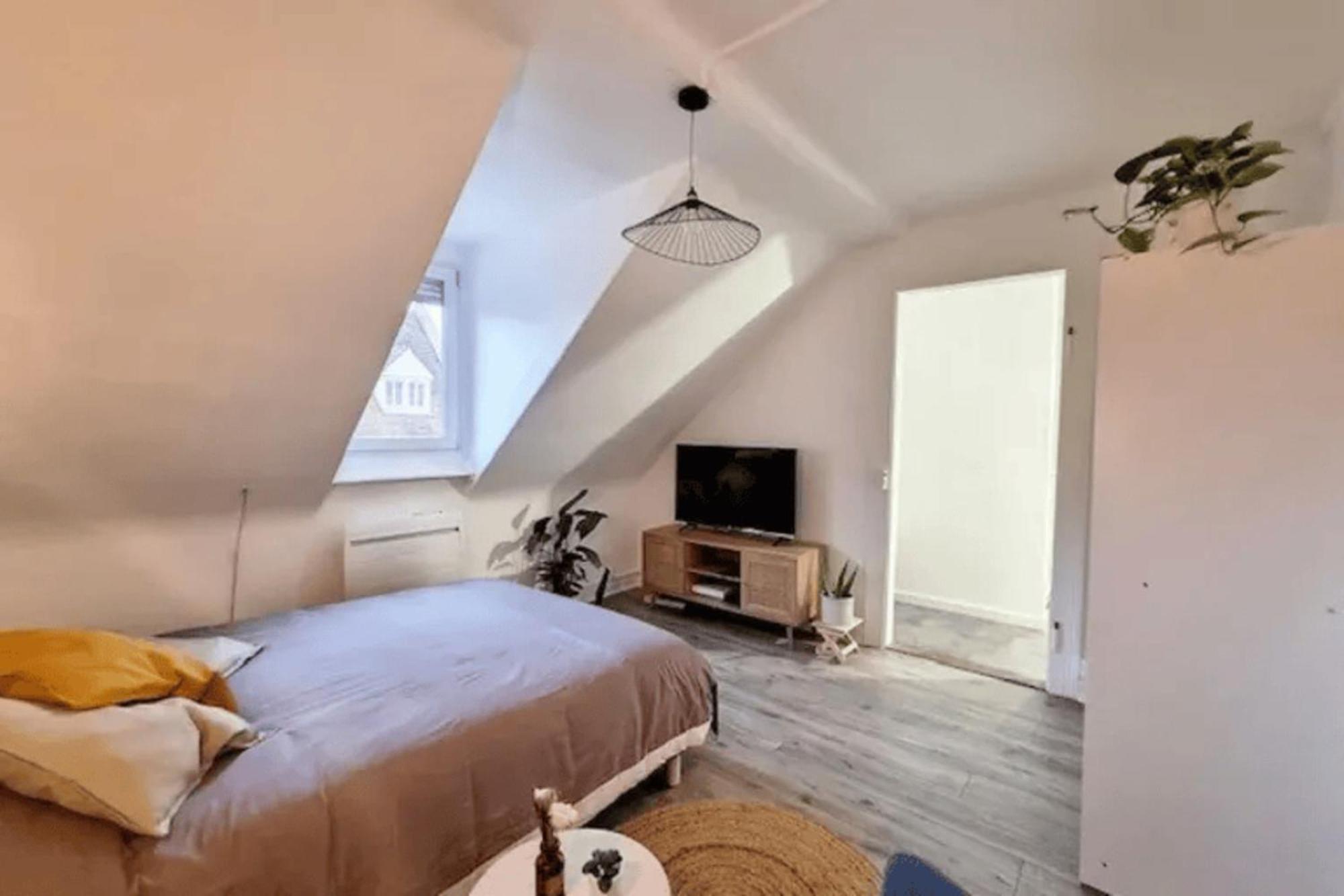 Soh Rent Saint Florent Proche Gare Straatsburg